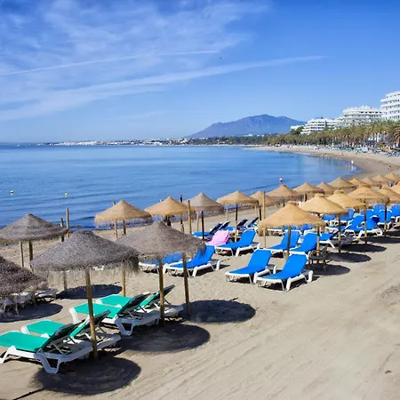 Gray Dalbion Puerto Banus - Happy